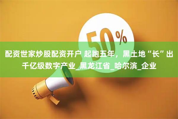 配资世家炒股配资开户 起跑五年，黑土地“长”出千亿级数字产业_黑龙江省_哈尔滨_企业